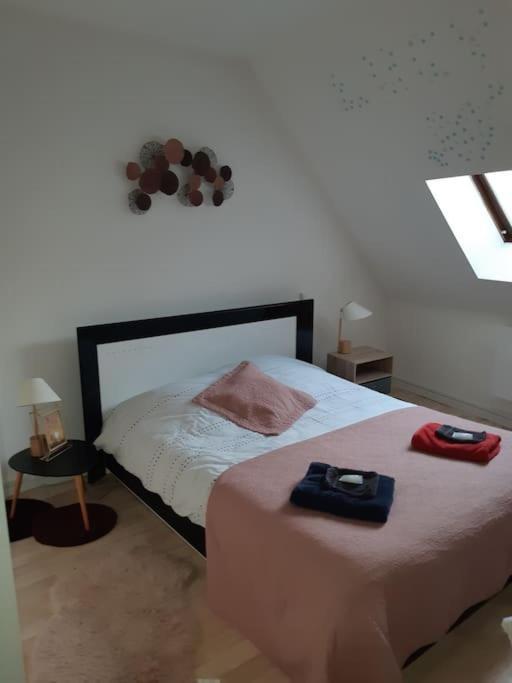 Maison Village 4 Chambres 30 Minutes Du Zoo De Beauval Saint-Cyran-du-Jambot 외부 사진